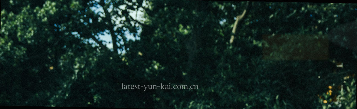 云开赛事观察 实时数据一览